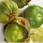 Tomatillo Orizaba