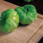 Tomatillo hybrid SUPER VERDE f1